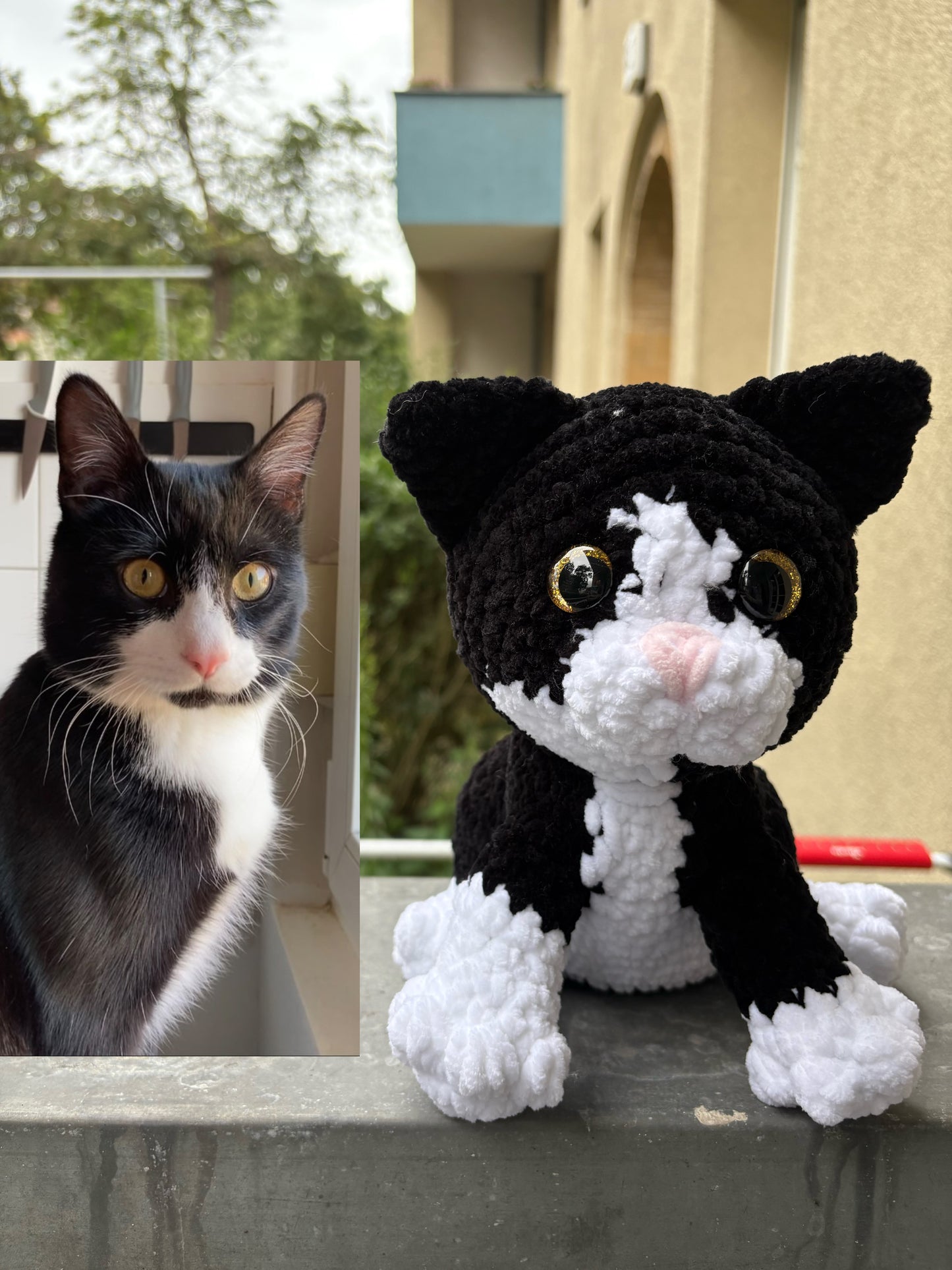 Katze