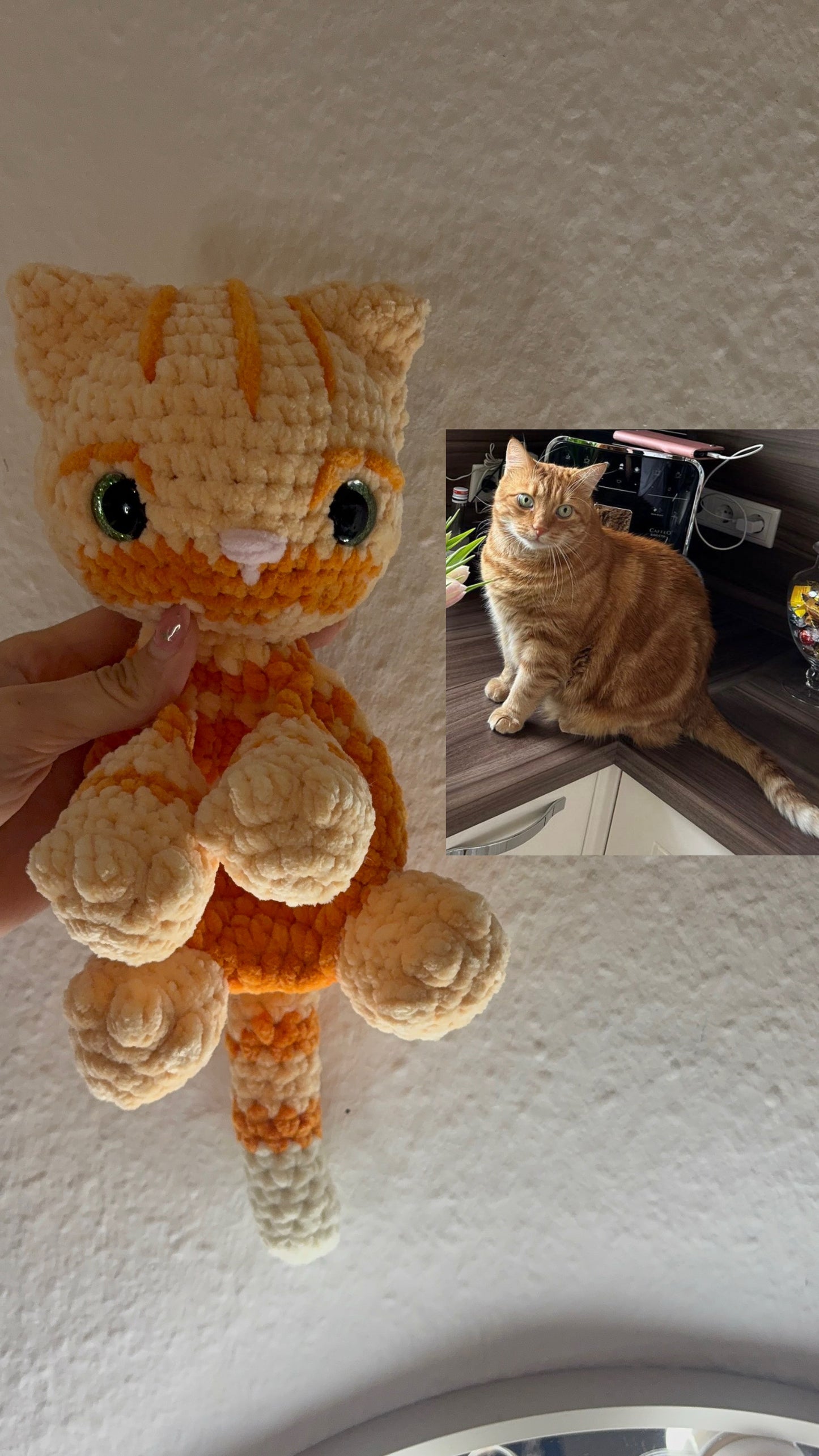 Katze