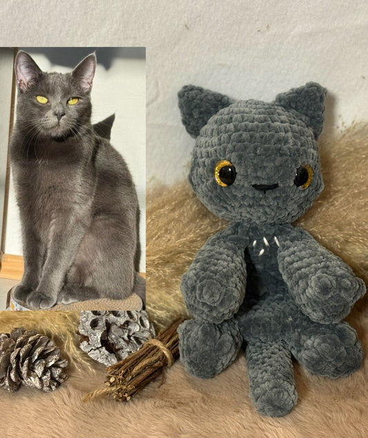 Katze